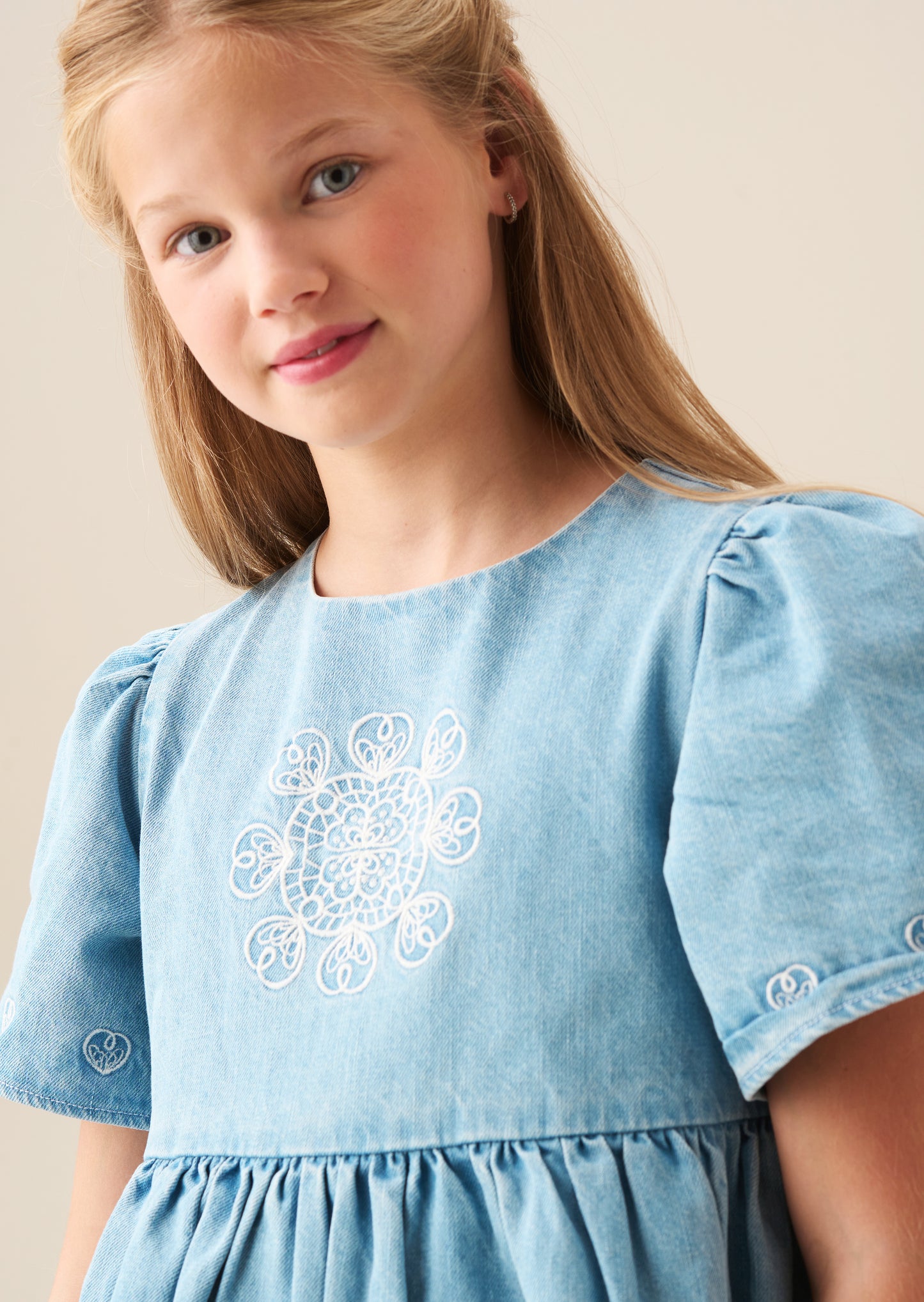 Reyna Denim Embroidered Swing Dress
