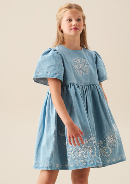 Reyna Denim Embroidered Swing Dress