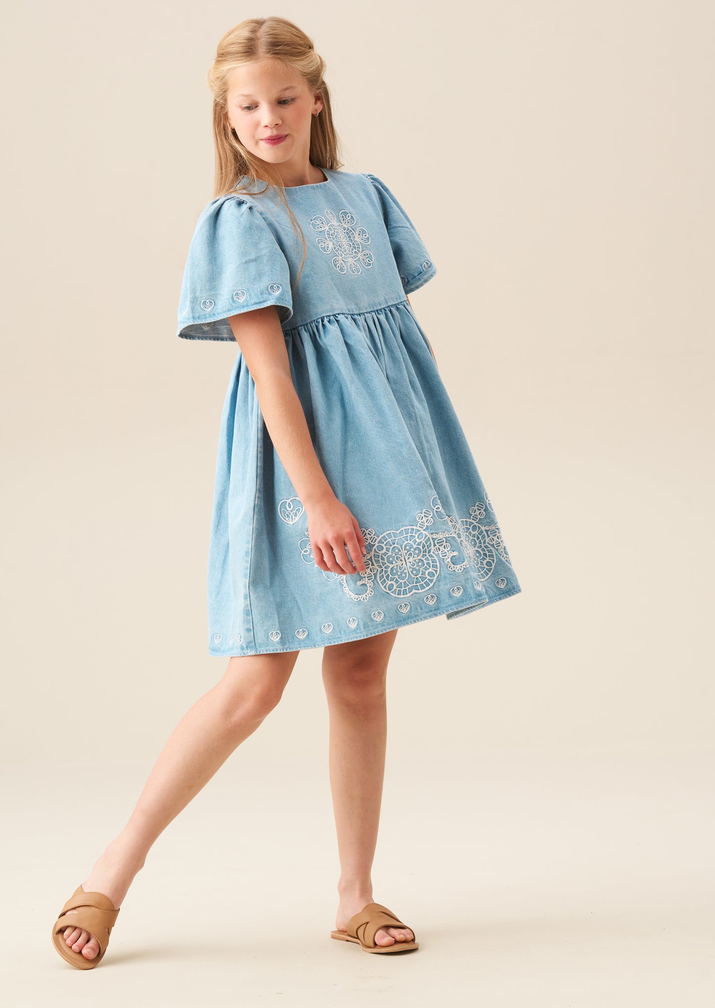 Reyna Denim Embroidered Swing Dress