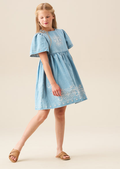 Reyna Denim Embroidered Swing Dress