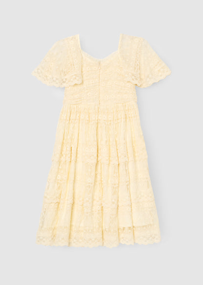 Annabelle Vintage Lace Mesh Dress