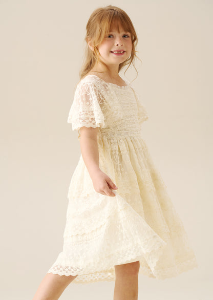Annabelle Vintage Lace Mesh Dress