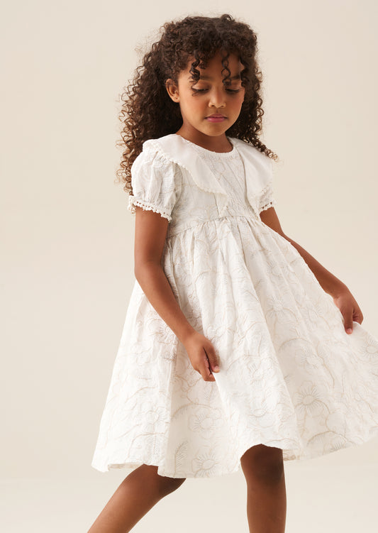 Aurora Floral Embroidered Dress