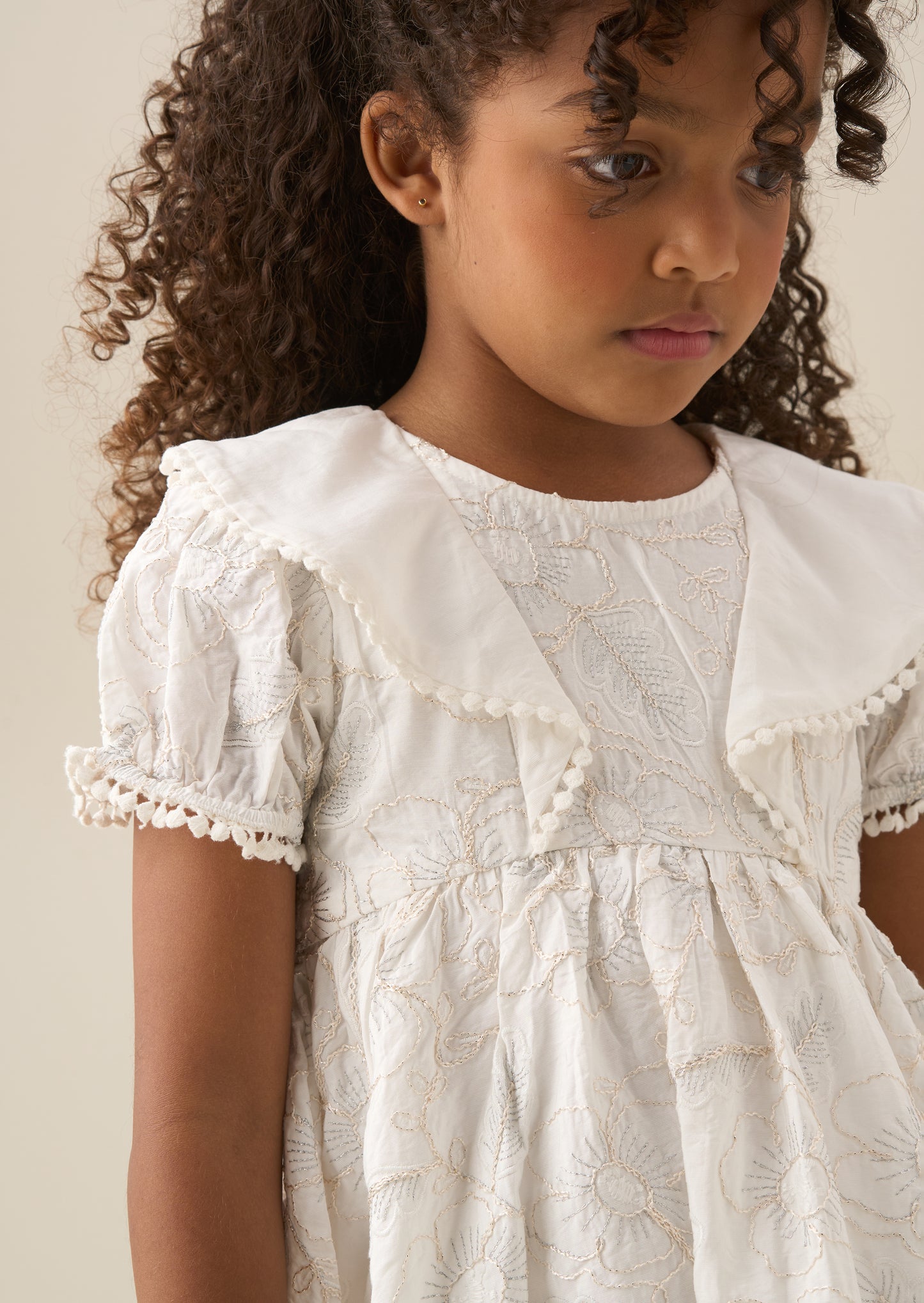 Aurora Floral Embroidered Dress