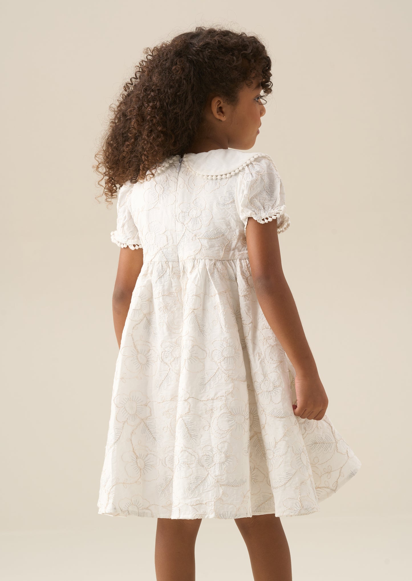 Aurora Floral Embroidered Dress