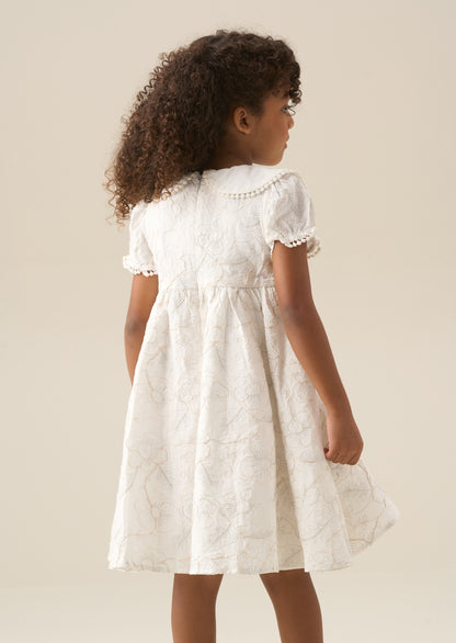 Aurora Floral Embroidered Dress