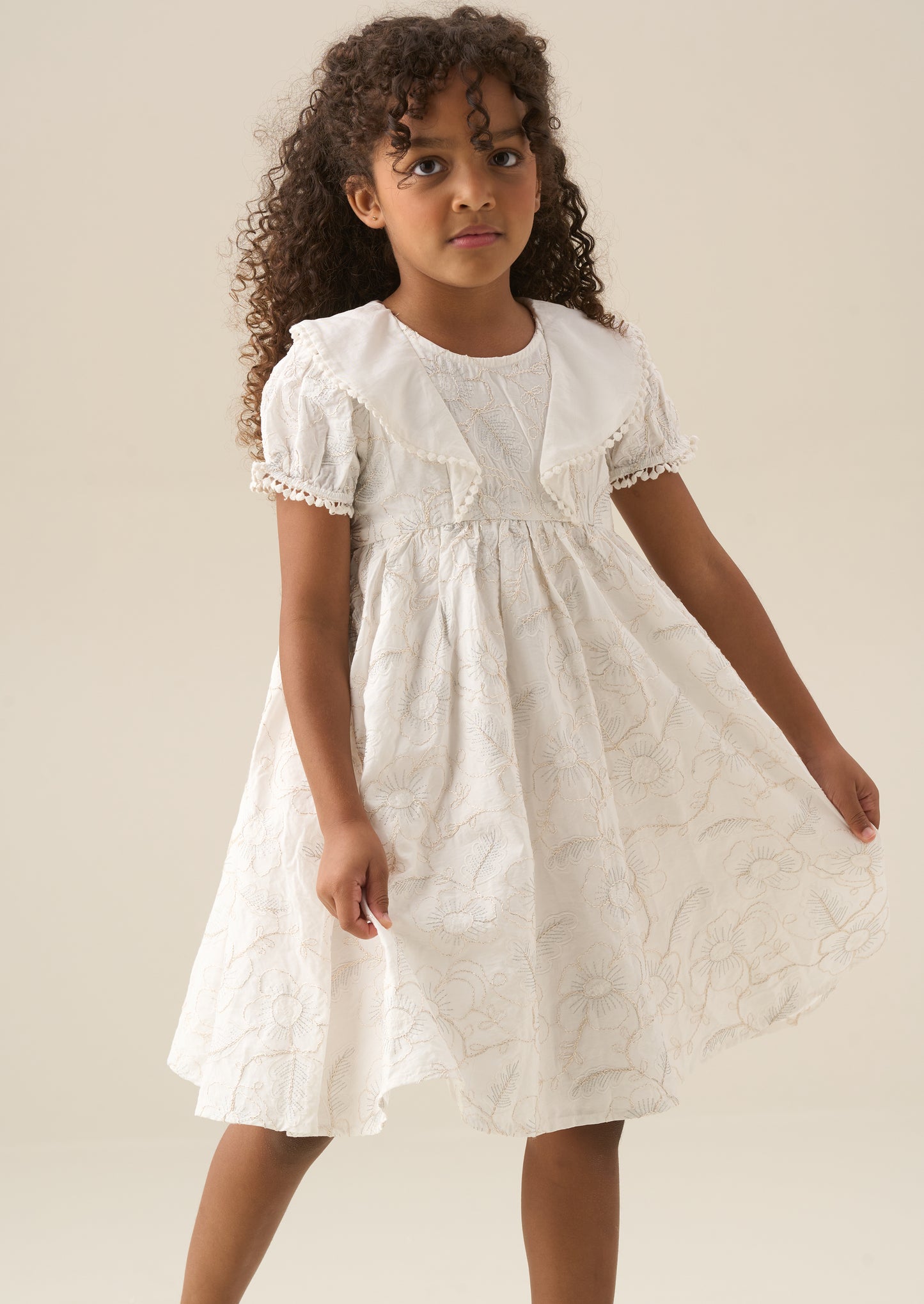 Aurora Floral Embroidered Dress