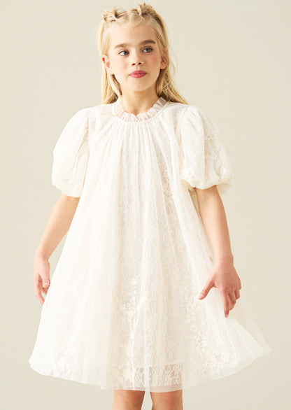 Marcella Embroidered Mesh Dress