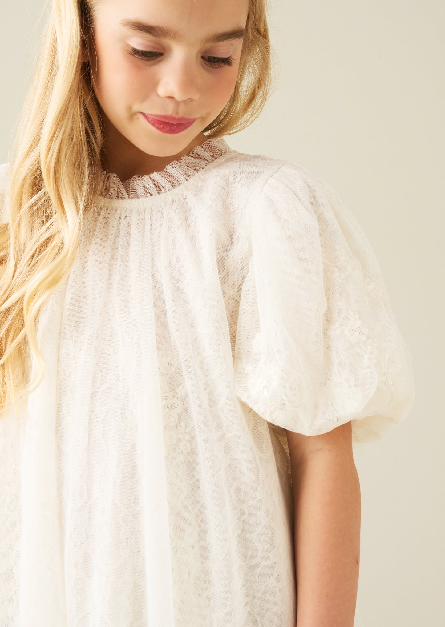 Marcella Embroidered Mesh Dress