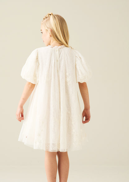 Marcella Embroidered Mesh Dress
