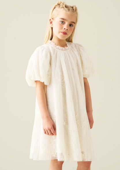 Marcella Embroidered Mesh Dress