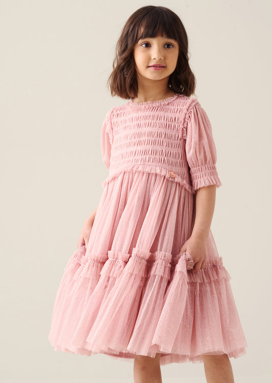 Xeni Mesh Dress