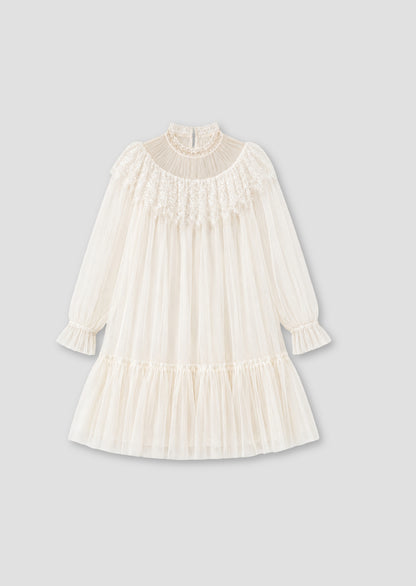 Beau Mesh Dress
