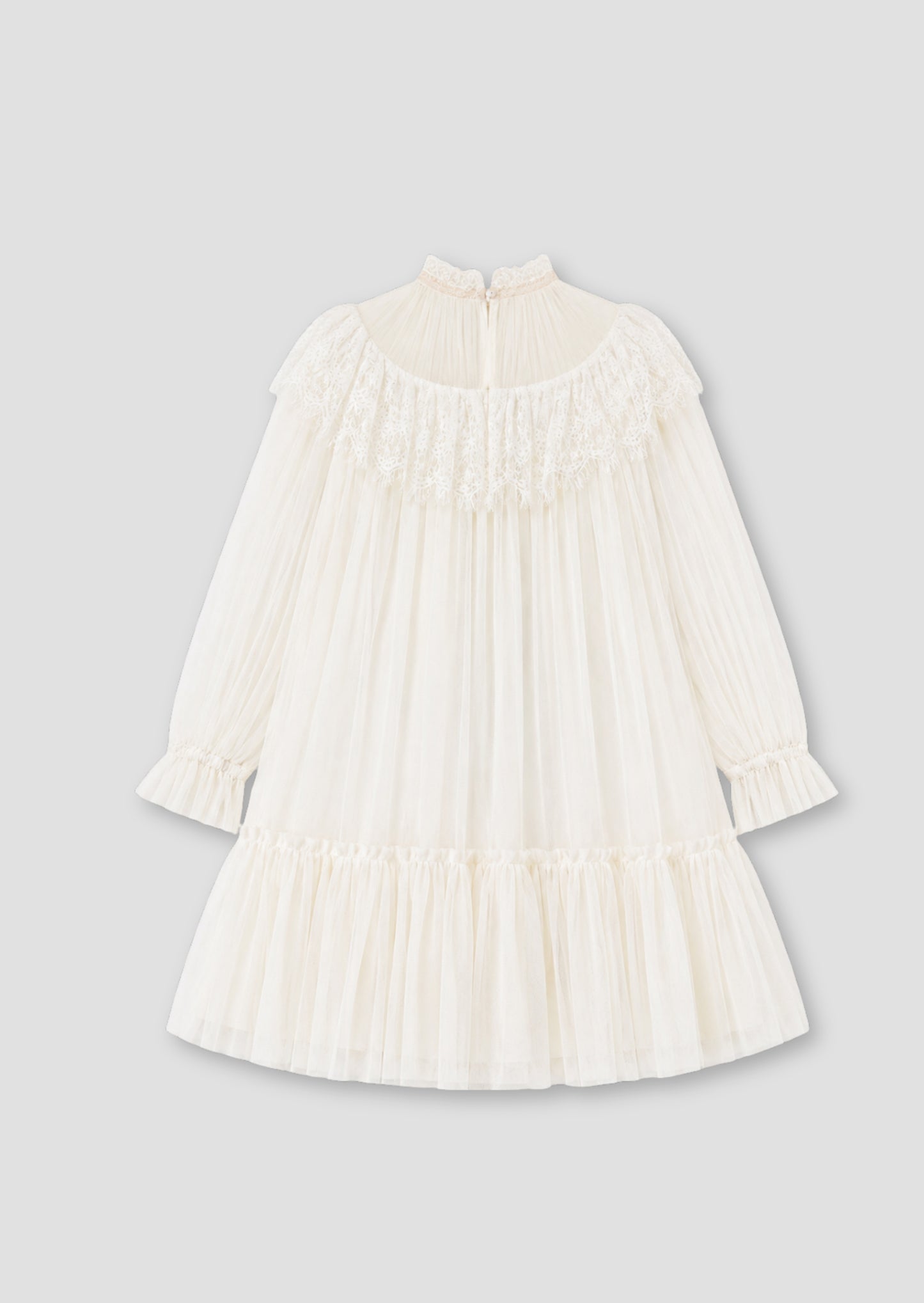 Beau Mesh Dress