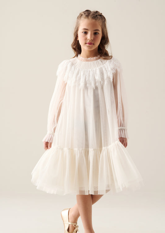 Beau Mesh Dress