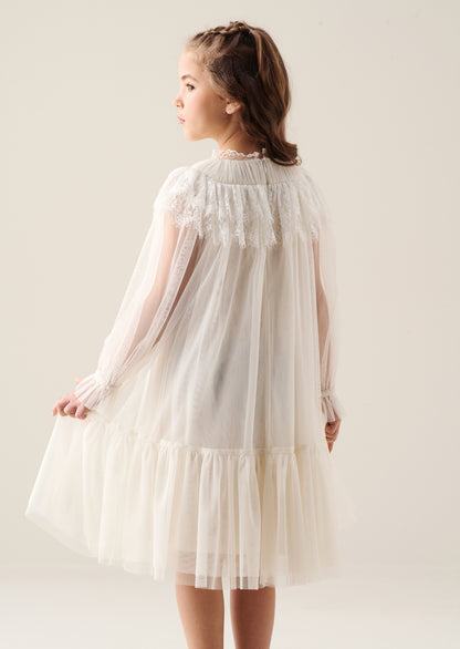 Beau Mesh Dress