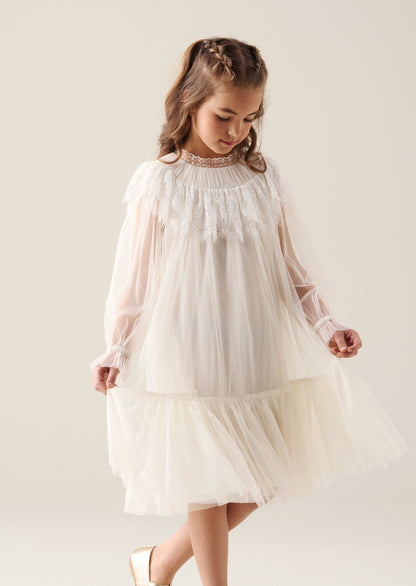 Beau Mesh Dress