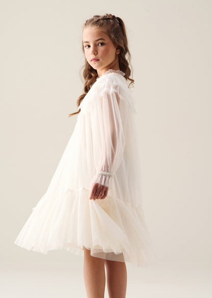 Beau Mesh Dress