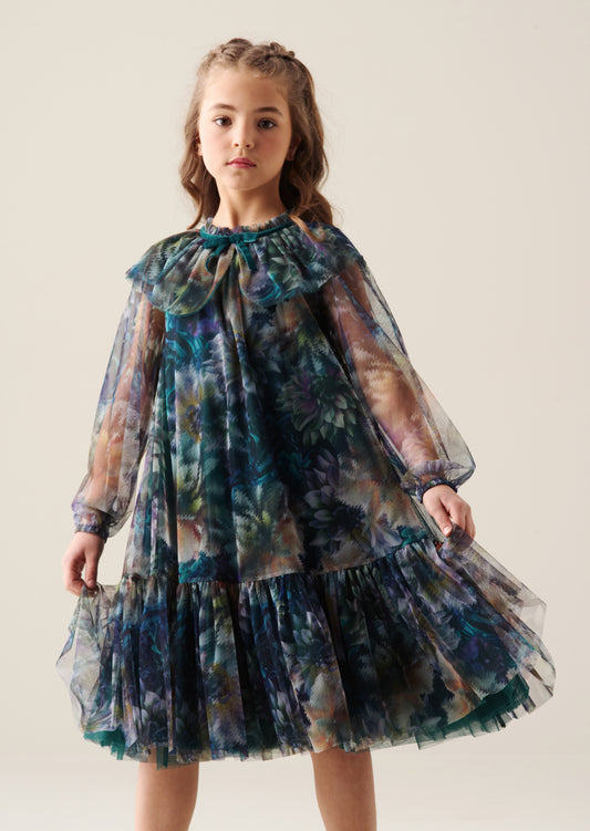 Cleo Printed Mesh Dress