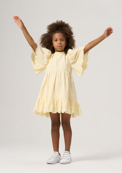 Iris Broderie Swing Dress