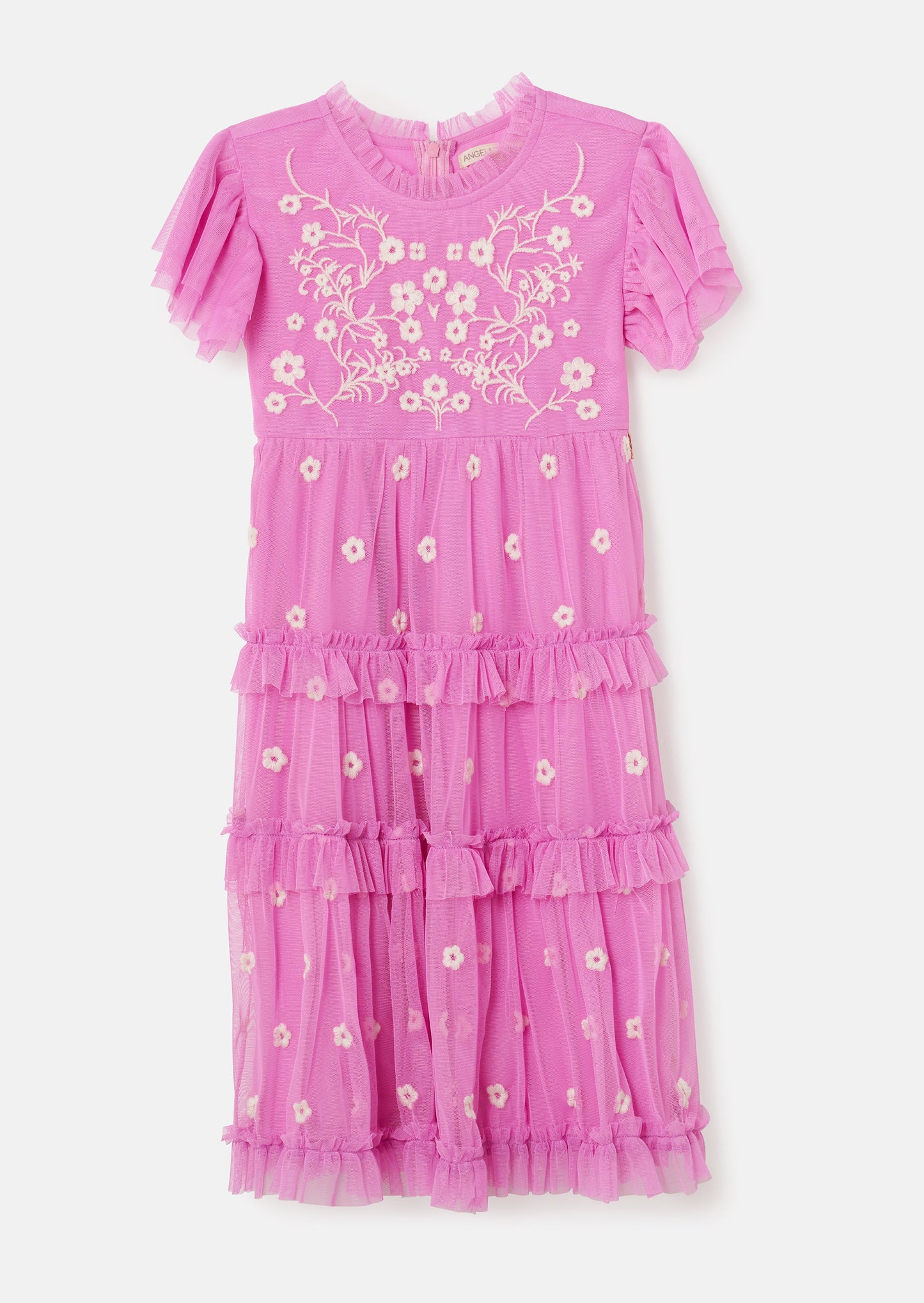 Luisa Embroidered Mesh Dress