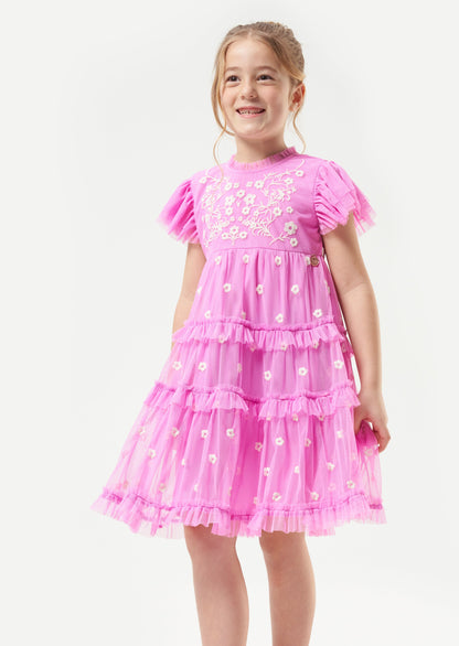 Luisa Embroidered Mesh Dress