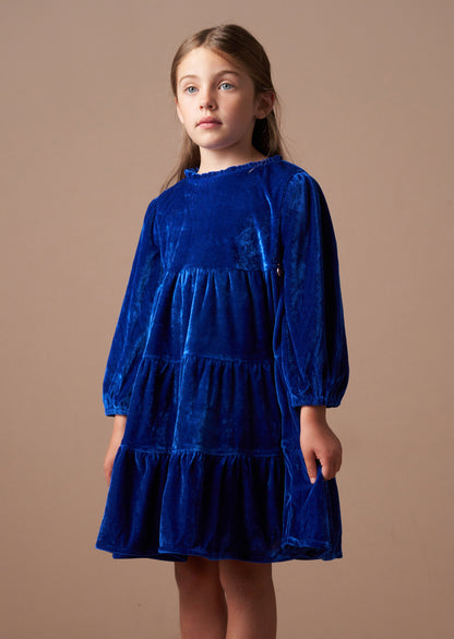 Adriana Cobalt Velvet Dress