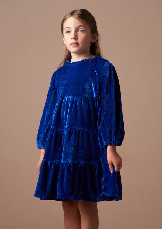 Adriana Cobalt Velvet Dress