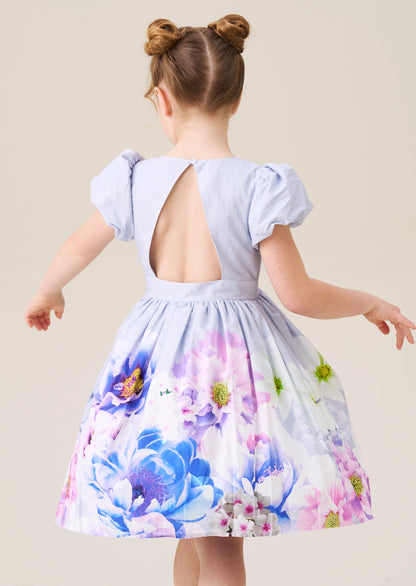 Lucia Orchid Border Print Dress