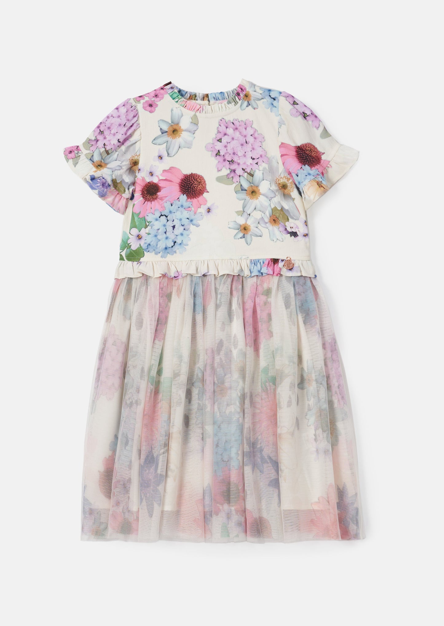 Azalea Ivory Ballerina Print Dress