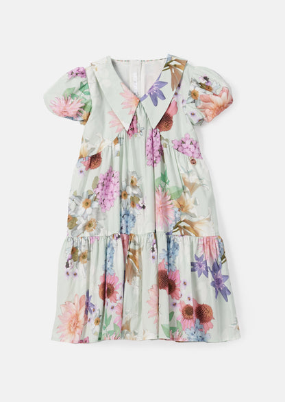 Lucia Sage Collar Print Dress