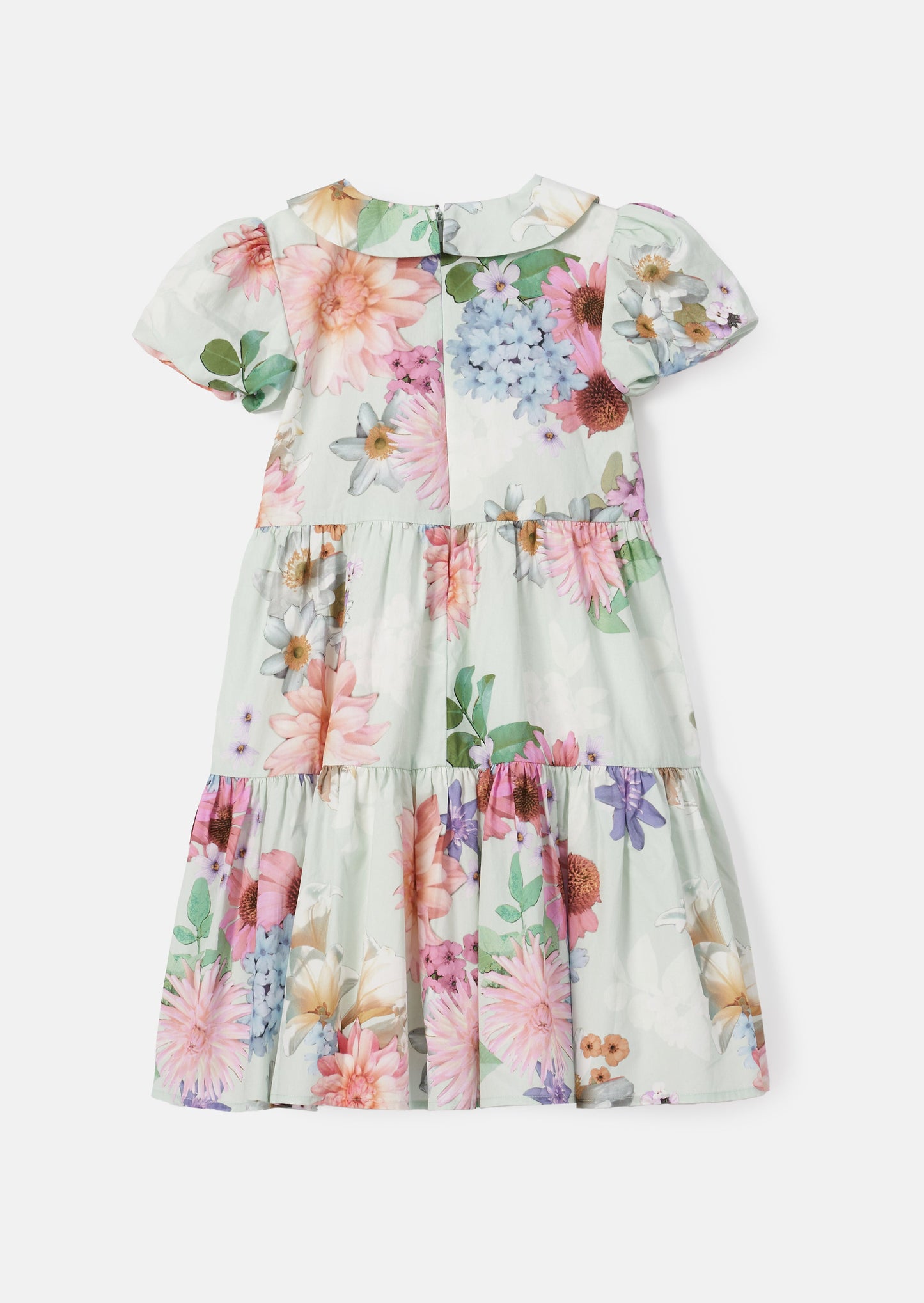 Lucia Sage Collar Print Dress