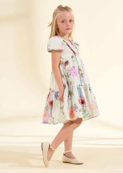 Lucia Sage Collar Print Dress