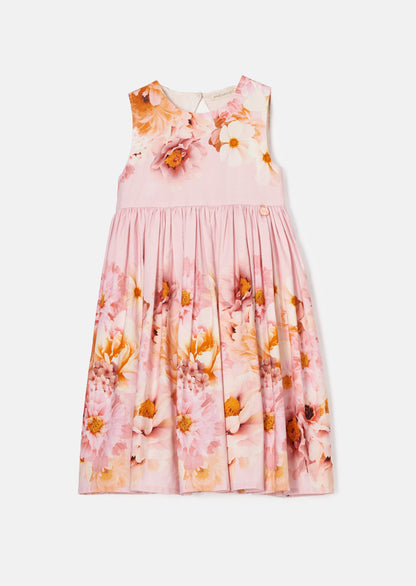 Emilia Pink Garden Floral Dress