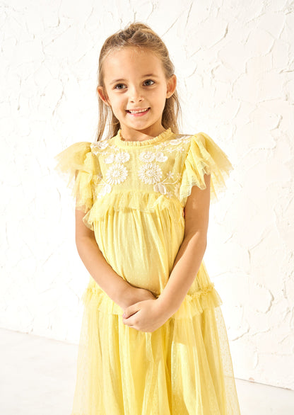 Luisa Yellow Embroidered Mesh Dress