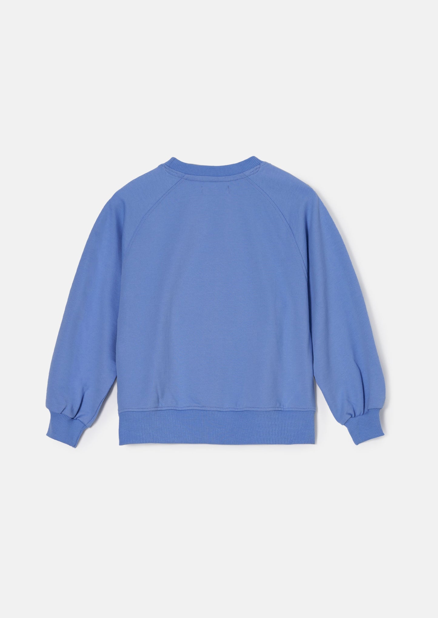 Flora Blue Corsage Sweatshirt