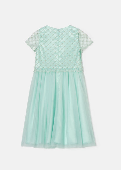 Anya Sage Beaded Tulle Dress