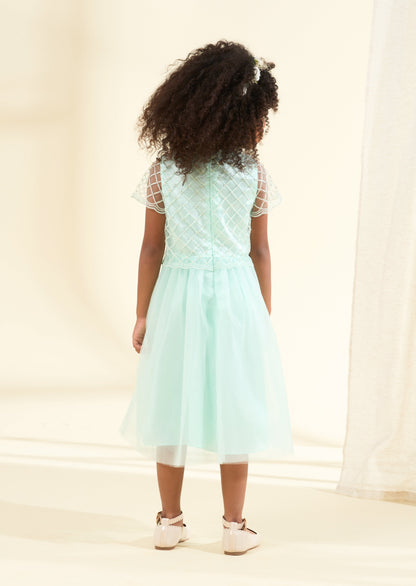 Anya Sage Beaded Tulle Dress
