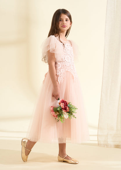 Anelise Blush Cascade Lace Dress