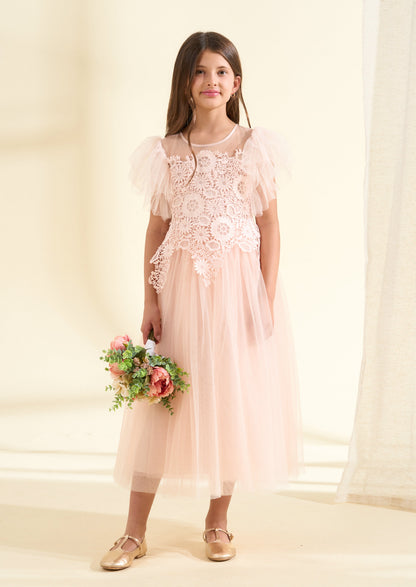Anelise Blush Cascade Lace Dress