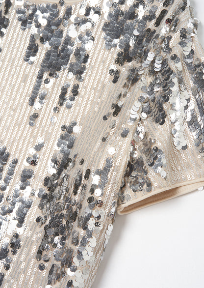 Sadie Silver Sequin Top