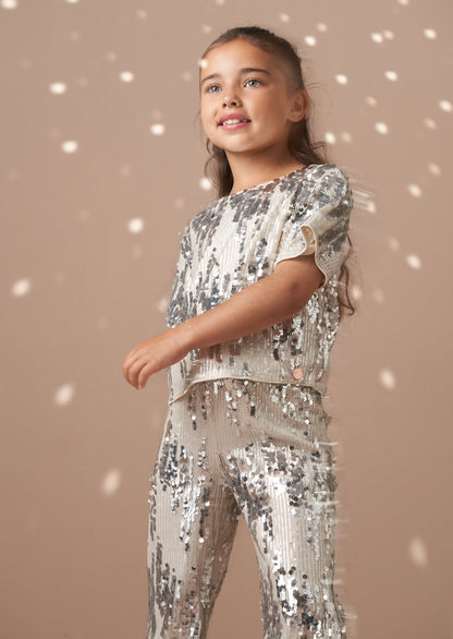 Sadie Silver Sequin Top