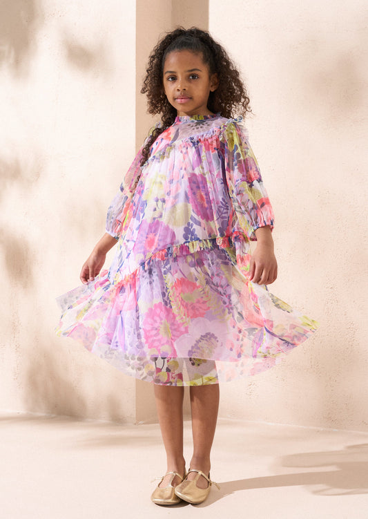 Beatrice Pink Print Mesh Dress