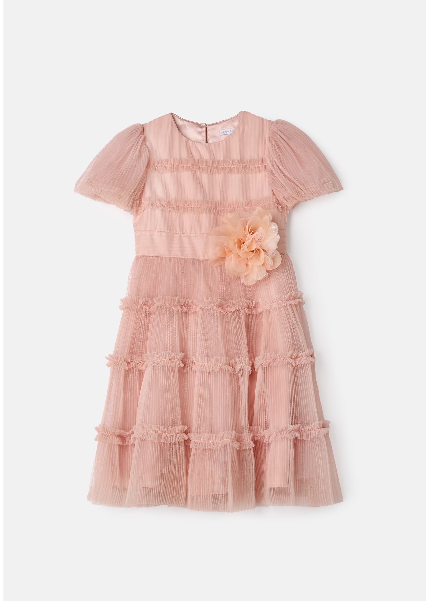 Clara Pink Pleated Mesh Corsage Dress