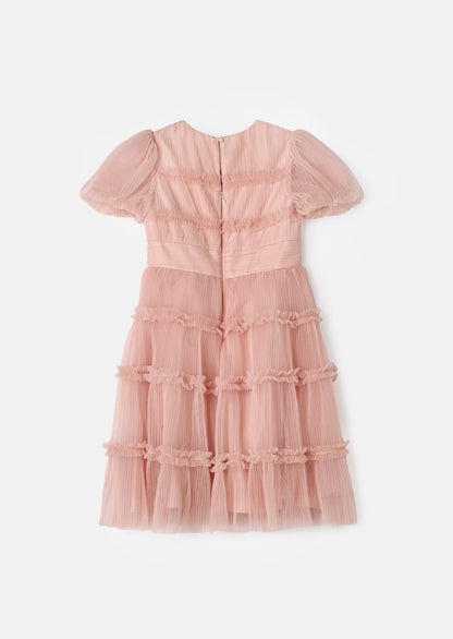 Clara Pink Pleated Mesh Corsage Dress