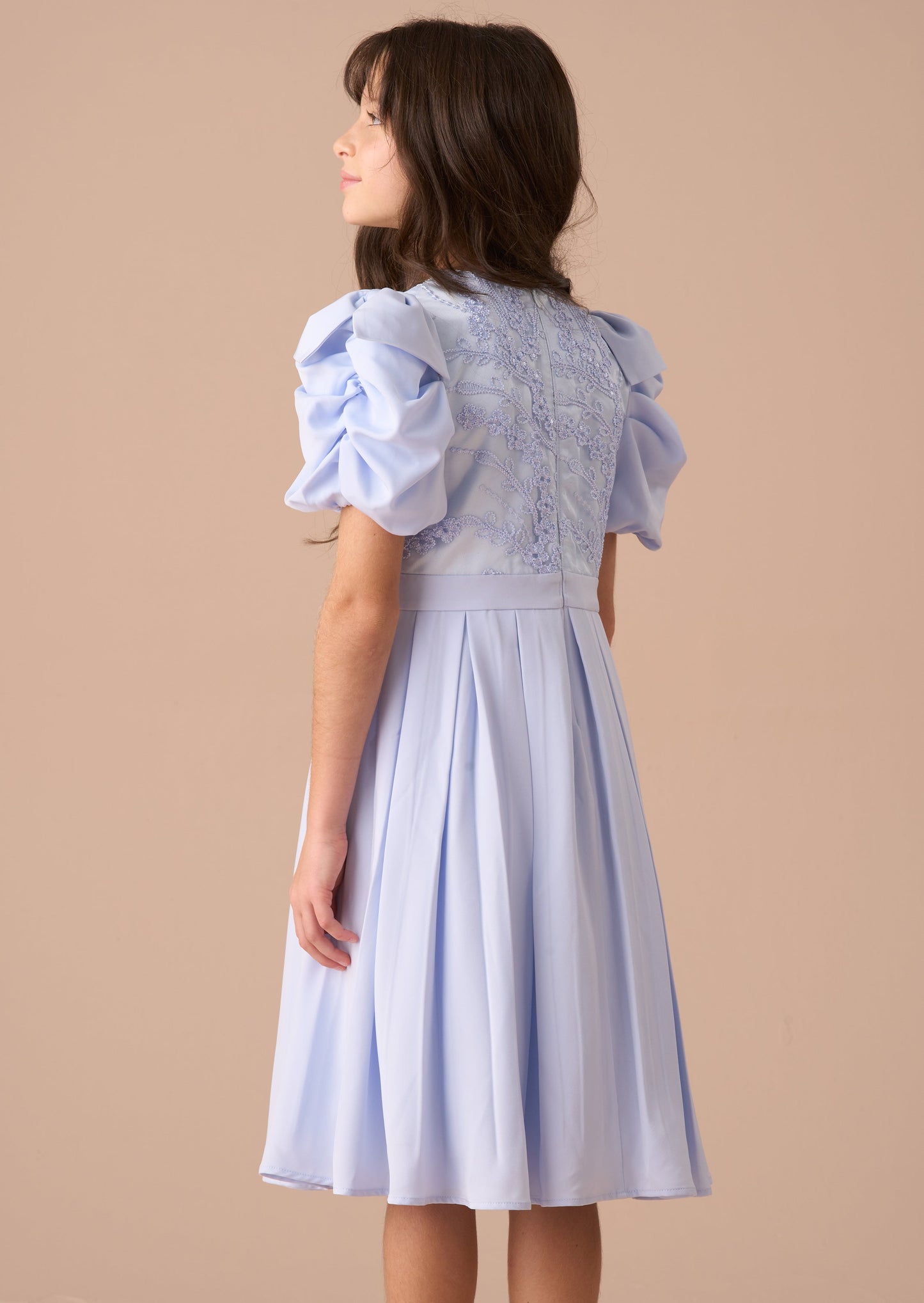 Coralie Blue Embroidered Bodice Dress