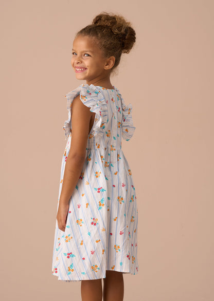 Francesca Blue Shirred Panel Dress