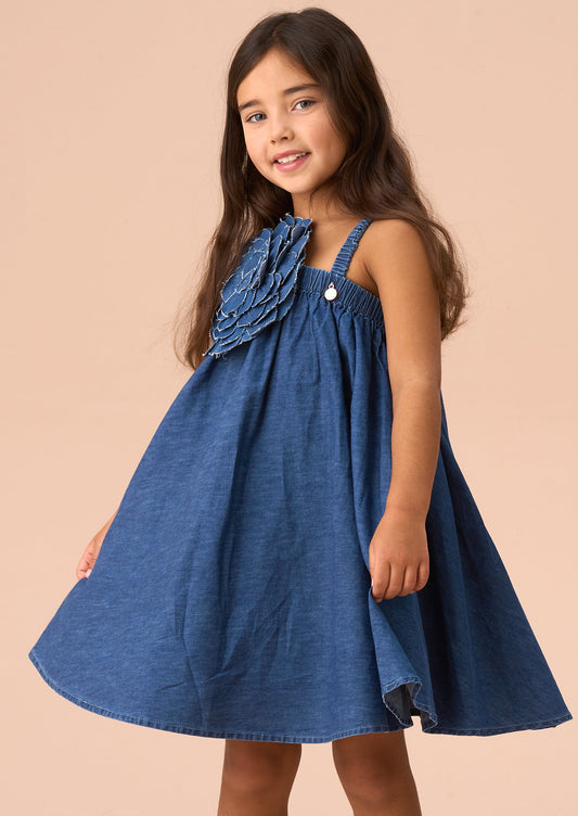 Marnie Denim Corsage Swing Dress