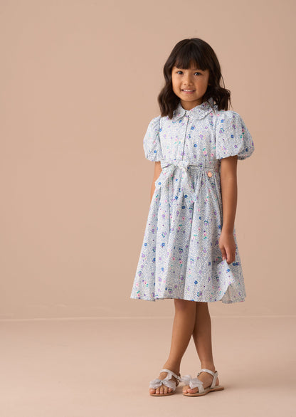 Danni Blue Printed Shirt Dress