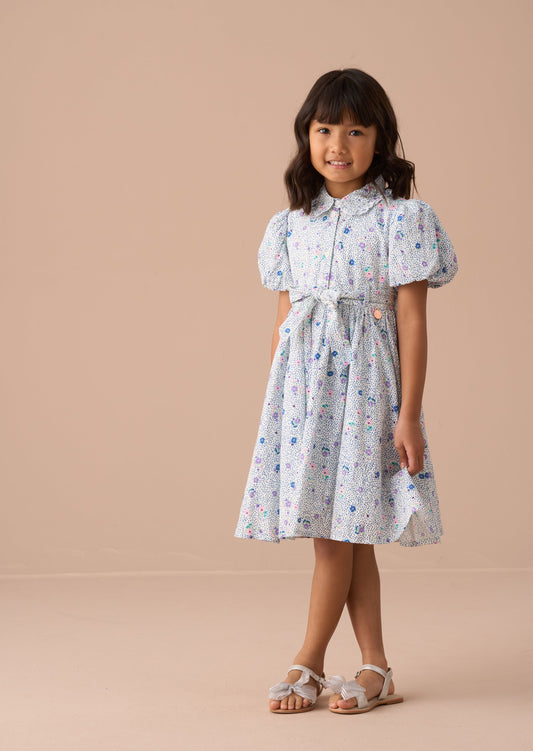 Danni Blue Printed Shirt Dress